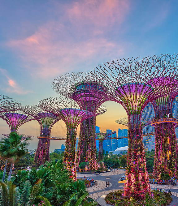 Supertree Grove, Singapore