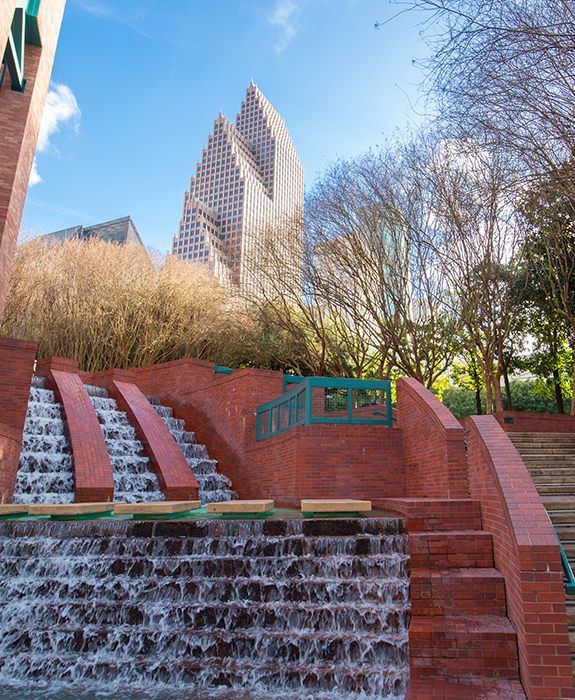 Picture of BlueBonnet, Texas Sate's Flower